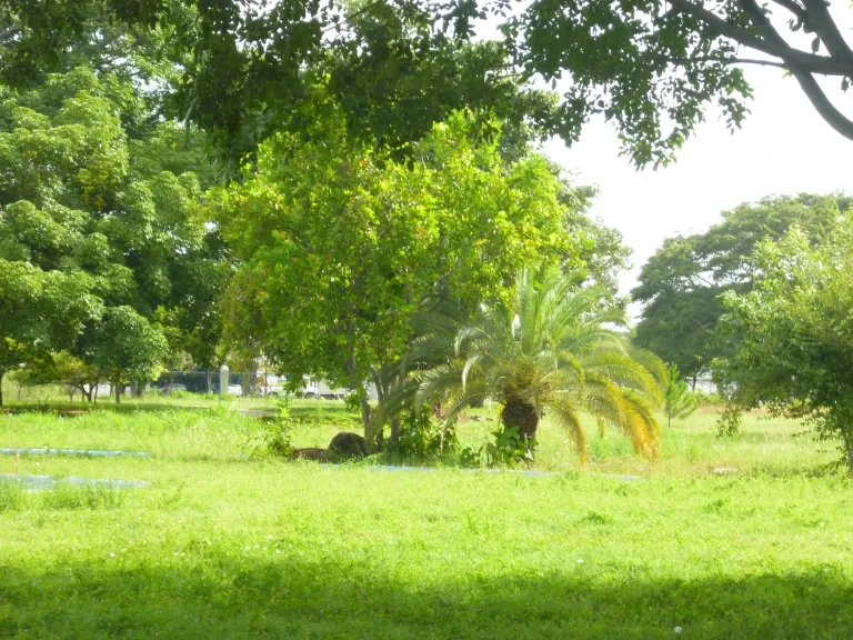 CZJroy7XYu2ORRfX_P1320741.webp