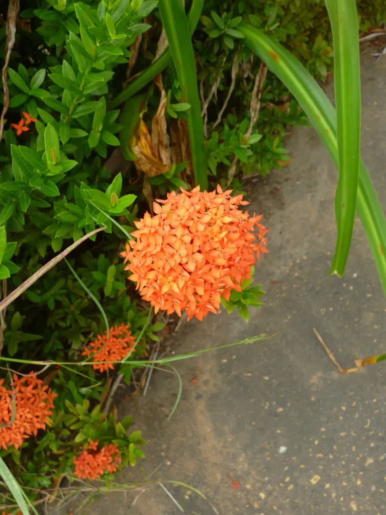 OUDmOwkG01RHEqqQ_P1320686.webp