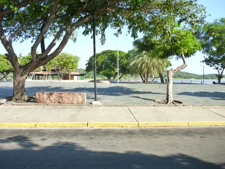 WsFvmTmPsM17d152_P1330153.webp