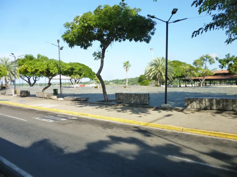 X57fkvka6QlrWMdt_P1330152.webp
