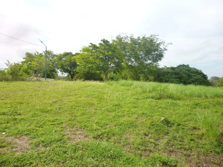 shKKpe8d90w7BUXK_P1320746.webp