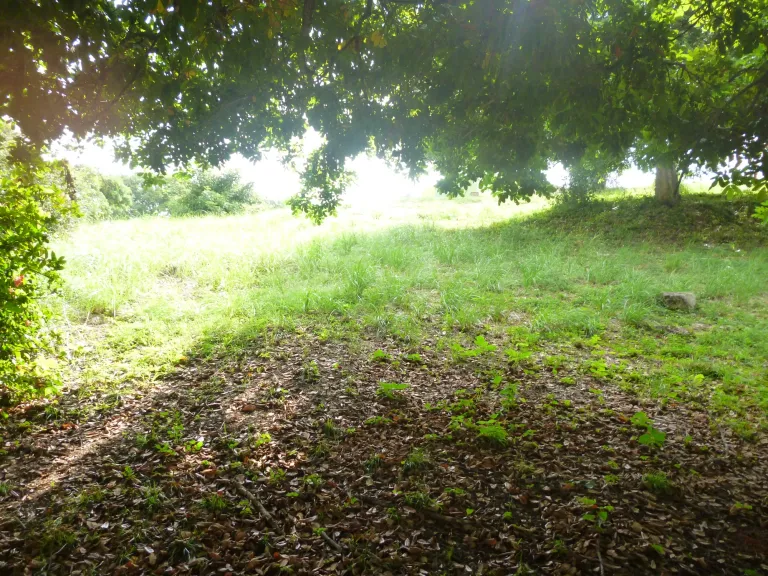 wIiZq4XRJcw5QrSa_P1320743.webp