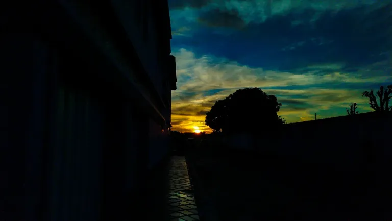 8YM4m2x1B7rsNBYj_IMG_20241118_062257.webp