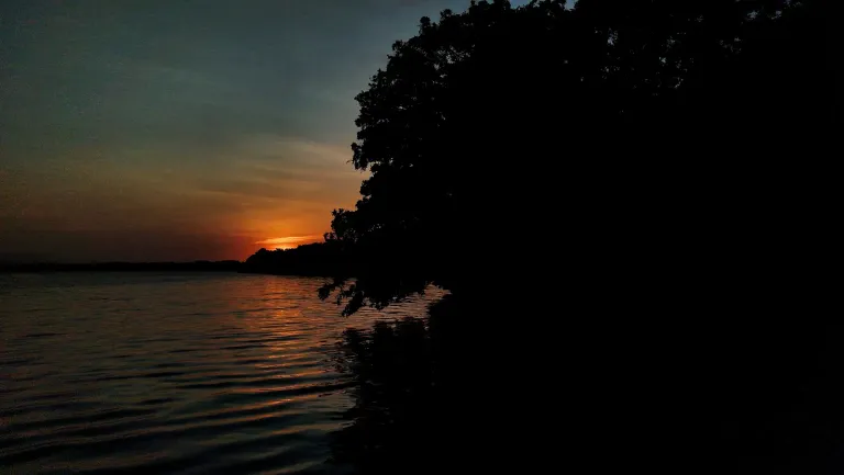 FEgguwpWyC9v1fRe_IMG_20250314_063146.webp