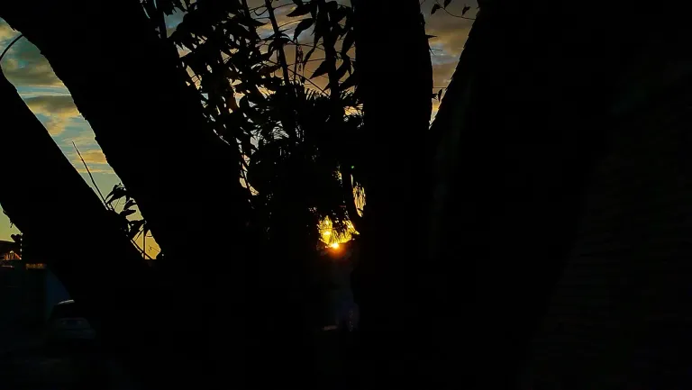 PYfhs9ramxESi23R_IMG_20250129_065134.webp