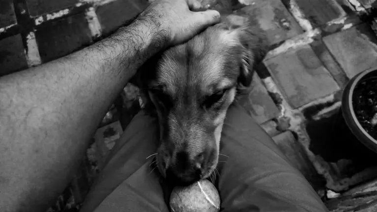 oEbvib1vNP0HxEXr_IMG_20250509_182406.webp