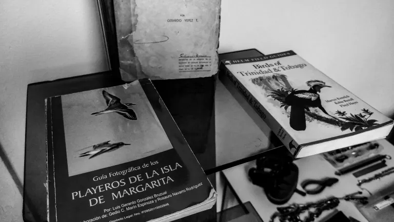 oZVLZRRPnwNxyjoz_IMG_20250605_164432.webp