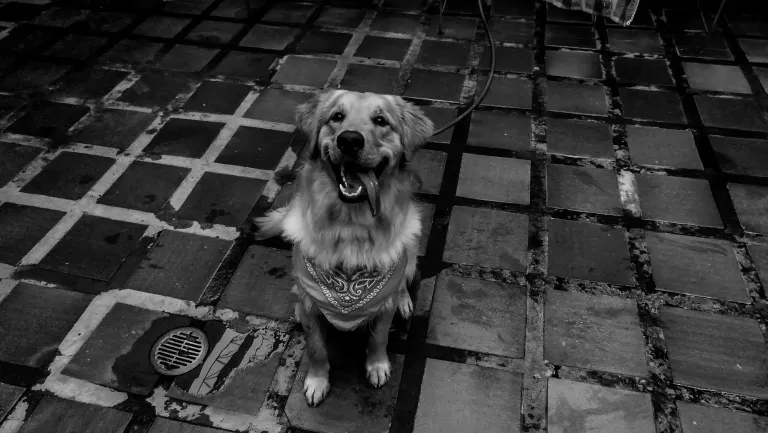 tqOMQzPqxGzWNlSd_IMG_20250509_182500.webp