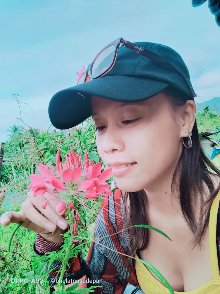 Beautiful flowers in the mountains that i adored the most