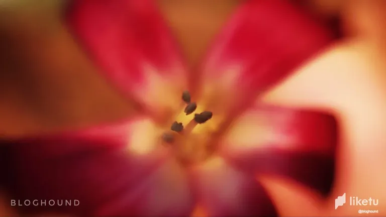 clj8rfxns00es65szdcsehwzw_2.webp