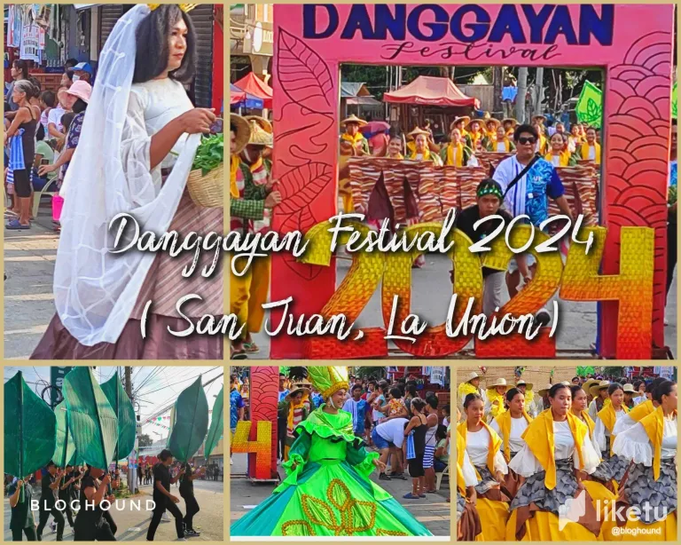 Footsteps of Joy: A Photographic Walk Tale of Danggayan's Festival Street Dancing Extravaganza