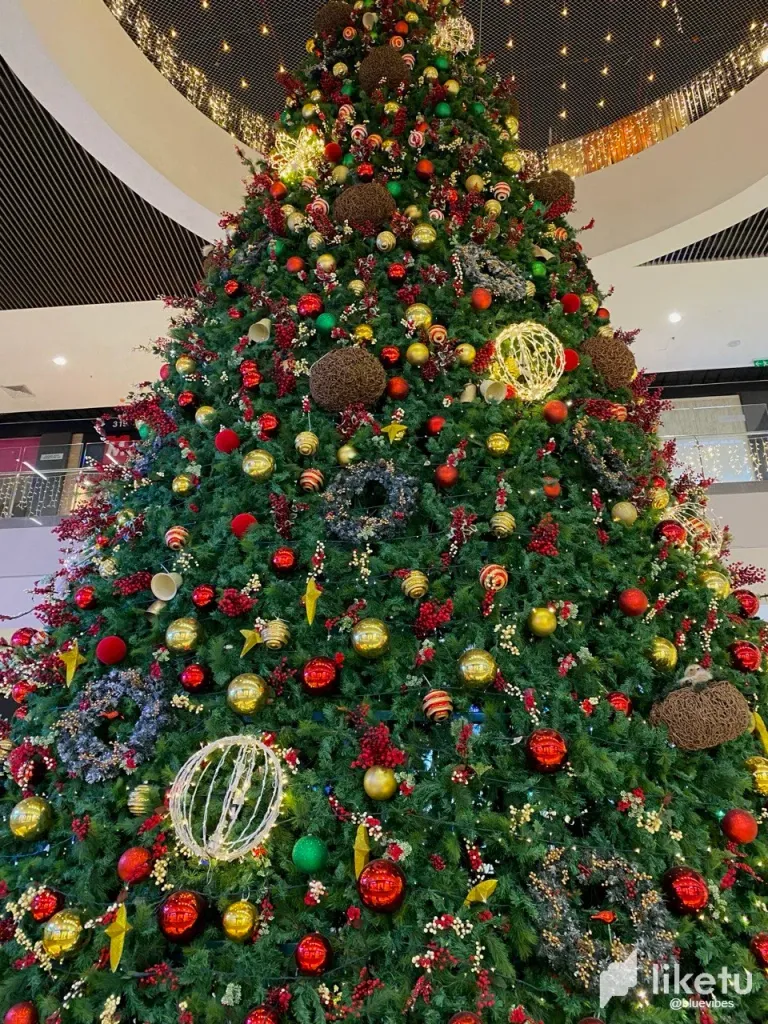 clr0ri9pn007p9rsz2i3canze_photo_2024-01-05_08-25-00.webp