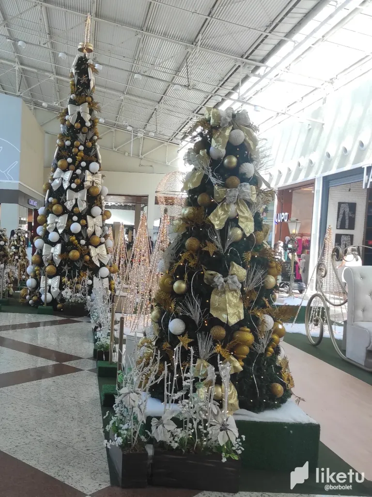 clpol2545001acuszg2tqejn6_IMG_20231202_161556_888.webp