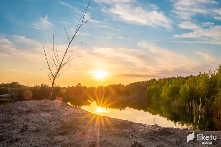 Golden Moments at Forest Lake