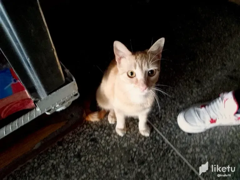 1NRaffdgLQK4ku0m_IMG_20250131_112206_643.webp