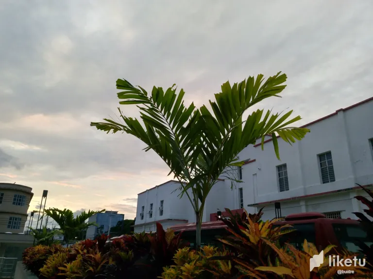 clooubh82002bwhsz26vg7k98_IMG_20231105_175808_760.webp
