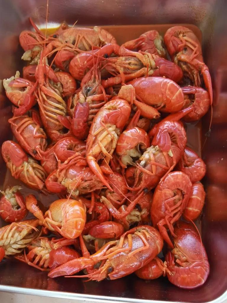 0jLDm97ZOgNUWqql_.webp