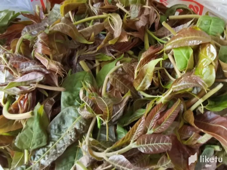 iBJH5M6LRyDcmLto_.webp