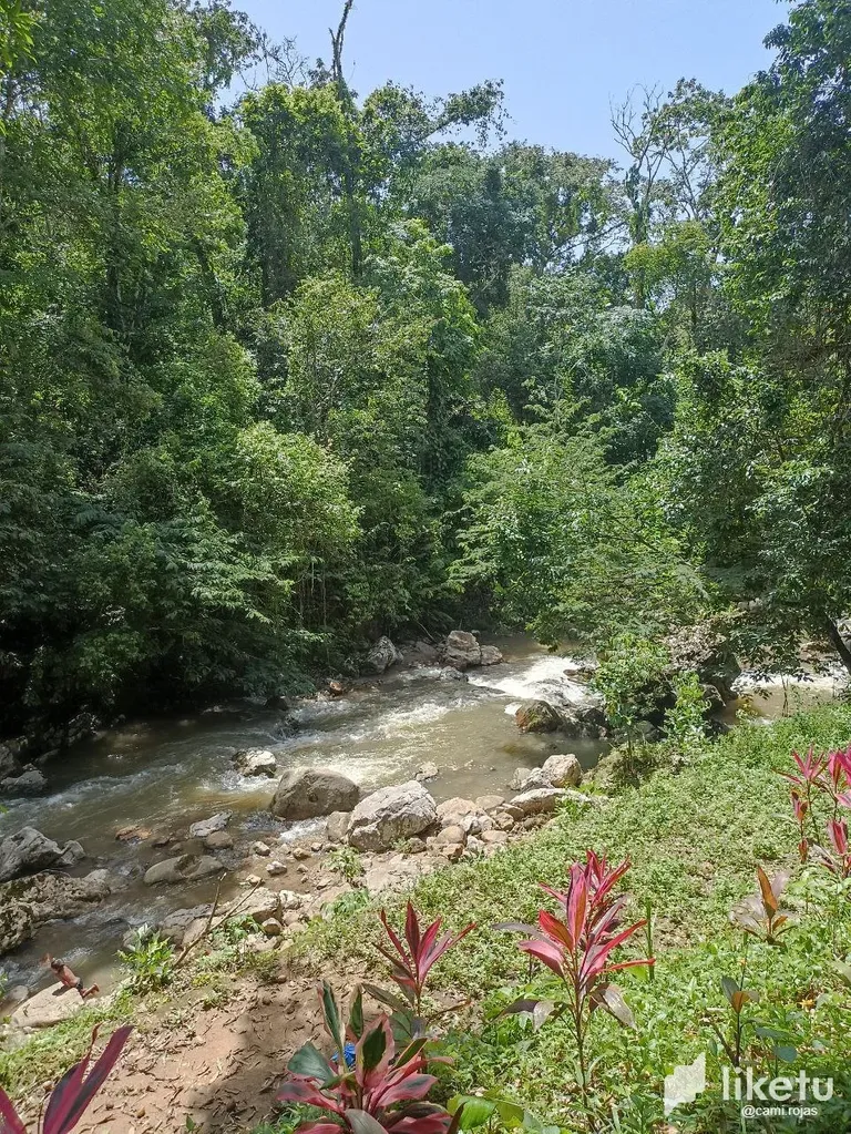 clkbc447b03ig82sz3mwweq5e_photo_2023-07-20_11-51-38.webp