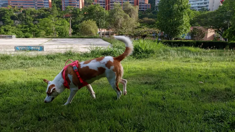 QrgMabxjXmGkfBMt_1000645538.webp