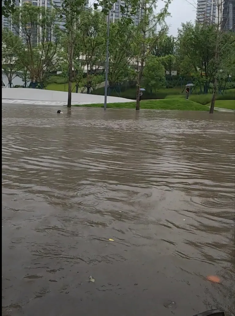 2jOIeKlGGb7huLxX_Screenshot_20250704_232012.webp