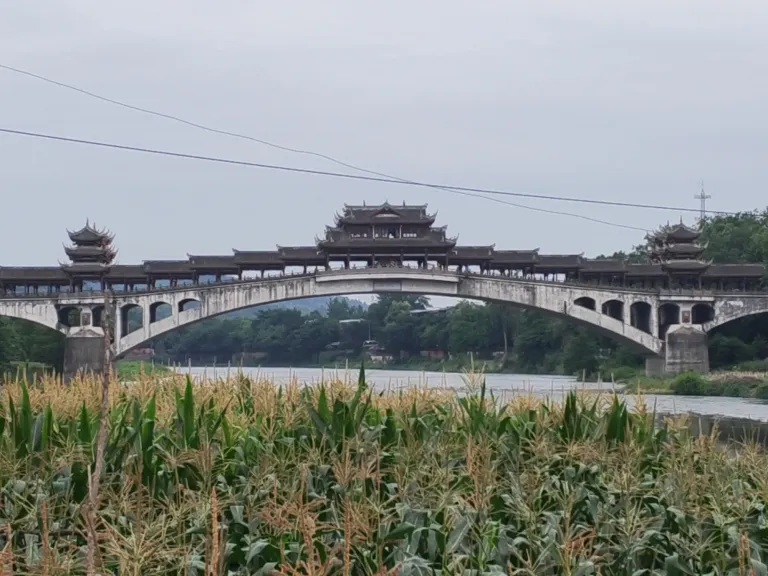 fUupzj6fwNAJPVVd_IMG_20250602_165350.webp