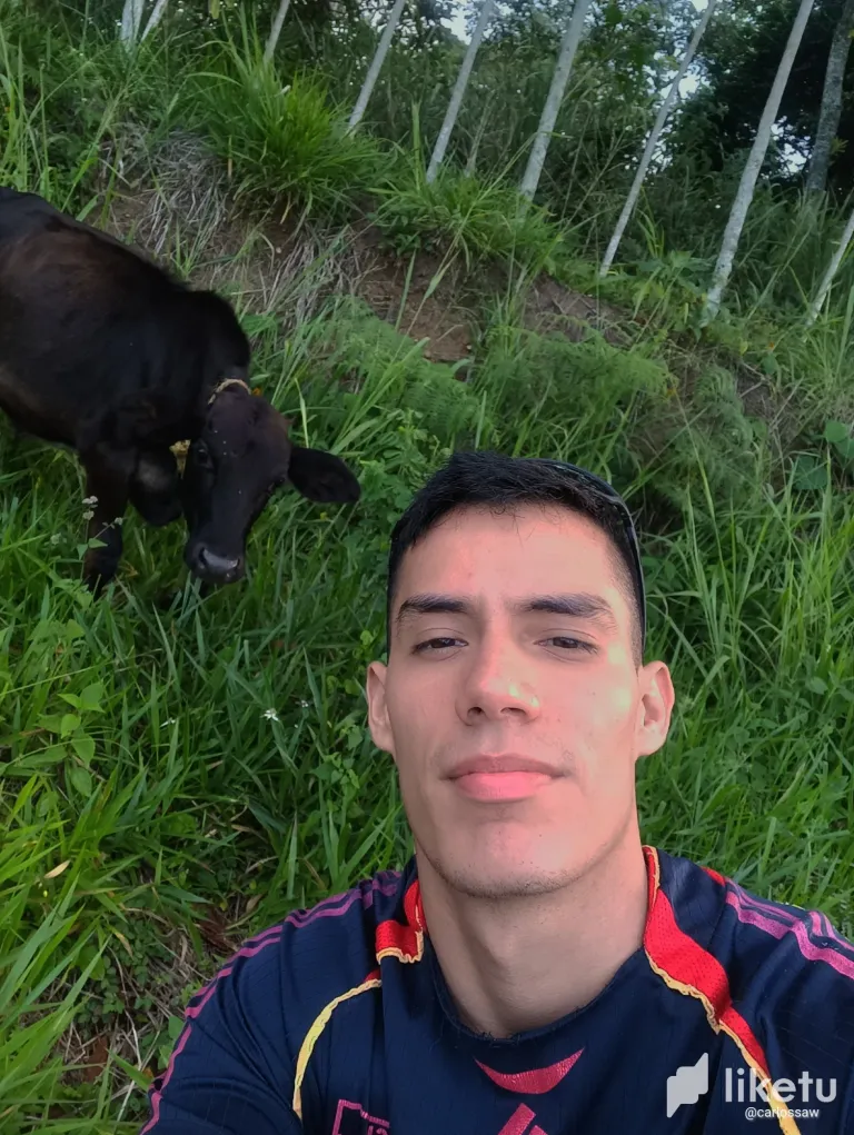 clqlggp8k00gi9eszeyms1wbm_InShot_20231221_193247456.webp