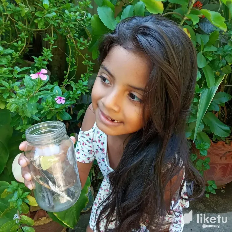 LUYe5GsSbKOiYvWL_20231016_093028.webp