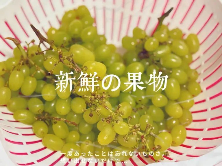 TomlFBcWWQR0SUut_mmexport1757035000791.webp