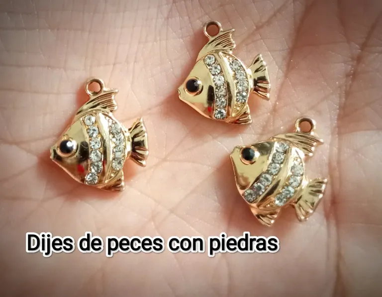 LQui6kXccEle8rpY_IMG_20250305_170739.webp
