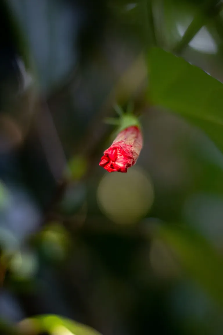 JaPQVOgjohEOwj98_1000205807.webp