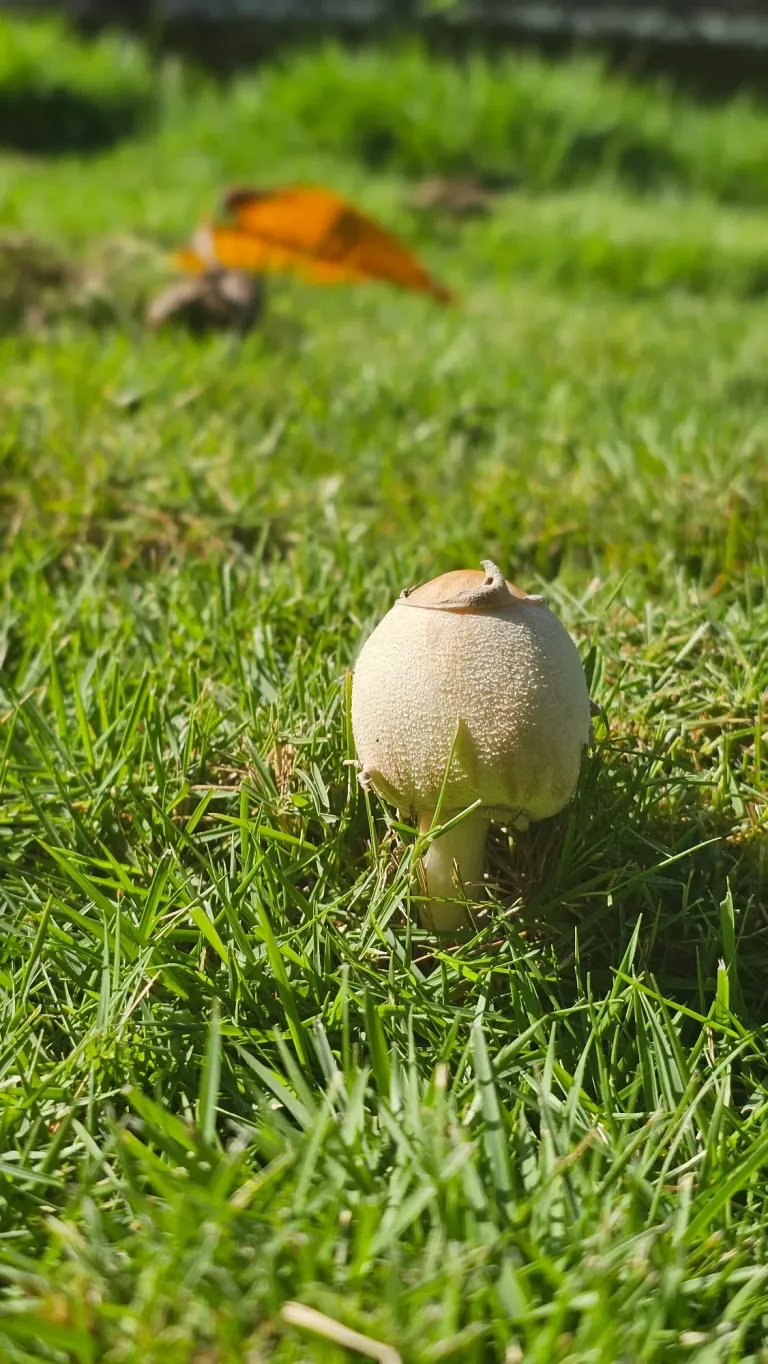 WtEnuMeUJvTk7XOH_20250810_094222.webp