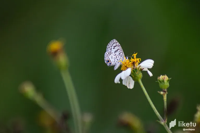 XVSfGyCZ58eF9OAc_IMG_5188.webp