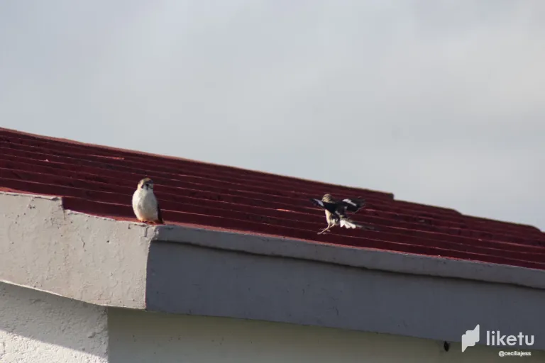 bg4j3OTIeqfwlgzJ_IMG_5849.webp