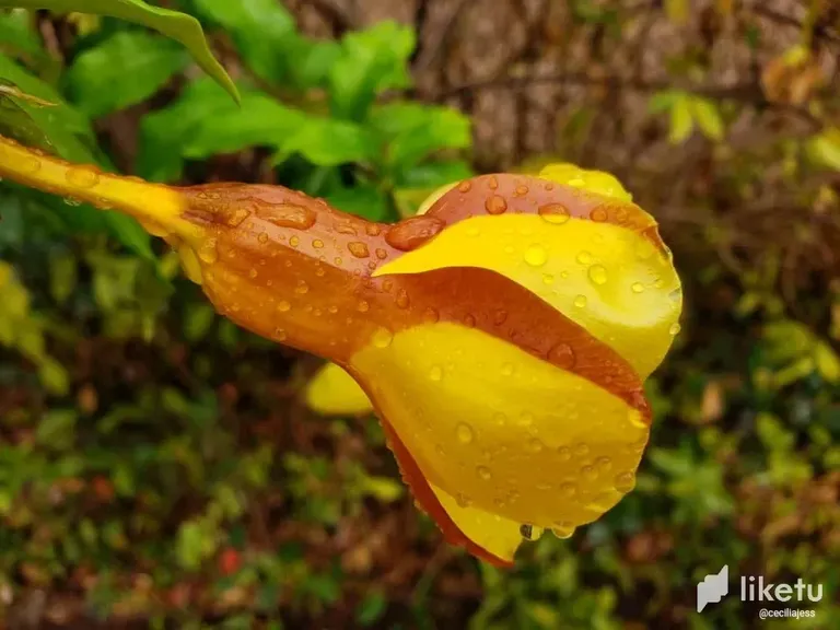 clfbmqtq500cg1bszd1qx5nj3_IMG-20230316-WA0081.webp