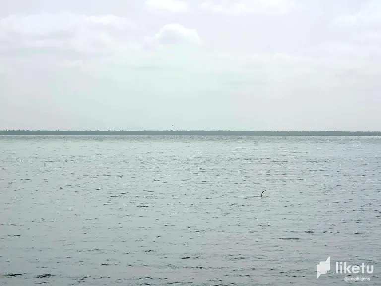 clkfxjn6y001fbesz01eec4km_20230723_103135.webp