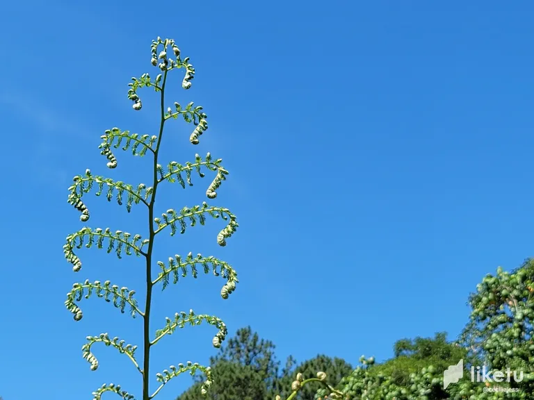 clku2jcrf015hbesz4iv8bjiw_20230628_105332.webp