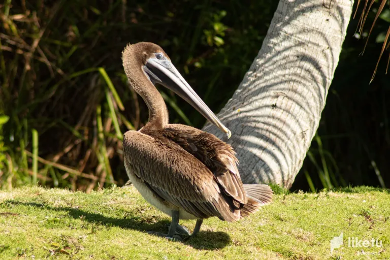 cltc9bcky002e26sz2erkdnh8__MG_3517.webp