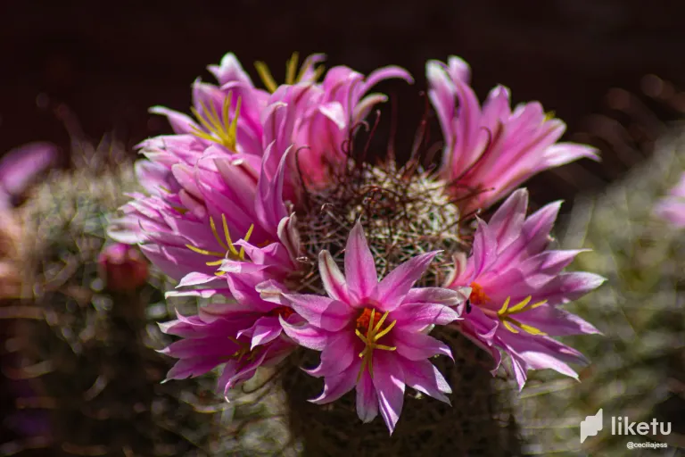 d0WsNDVvVurDxdgl_IMG_5097.webp