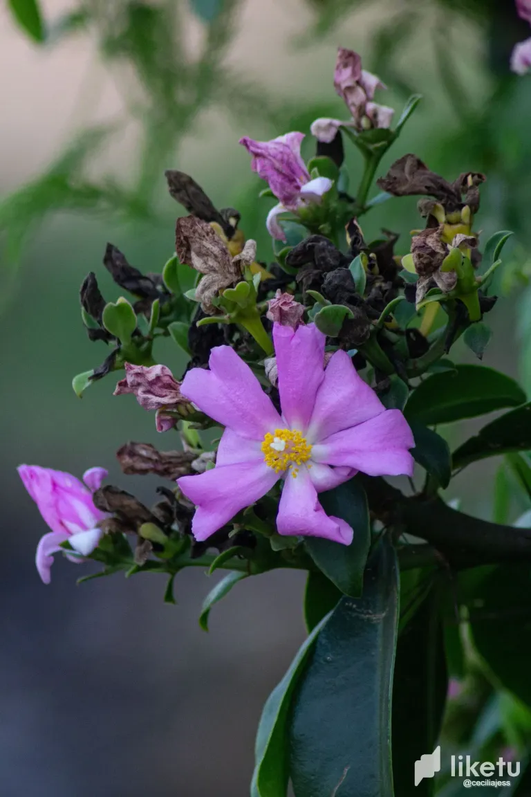 hB7FWiBSEshNgZeD_IMG_4050.webp