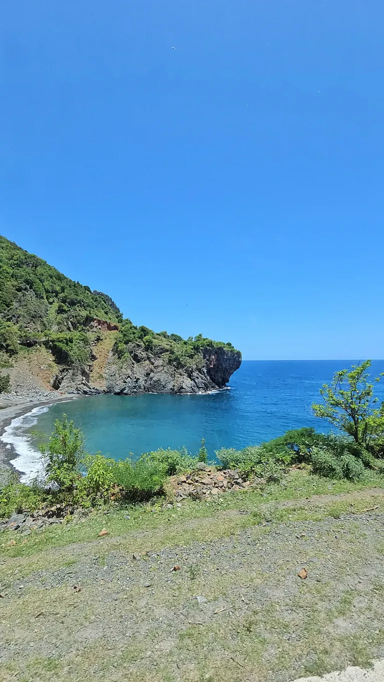 pxfSzcfEaXjUYmg6_1000019626.webp