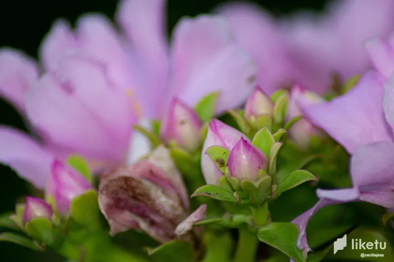vV2XSGIwjdE5SoNj_IMG_4058.webp