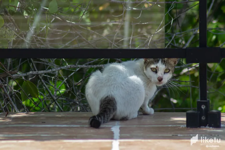 x02veqUVu77Jfs5e_IMG_5864.webp