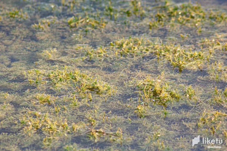 x3TcLdzY4pvq71L1_IMG_6379.webp