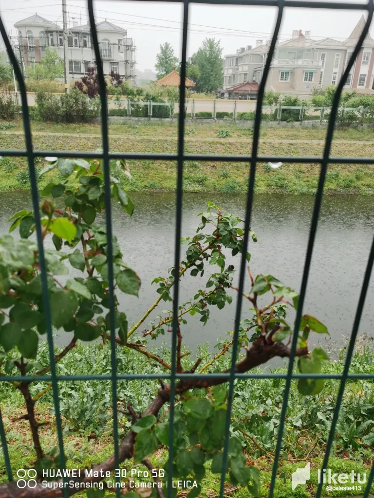 fl9XRIea2UDAISCh_WechatIMG34.webp