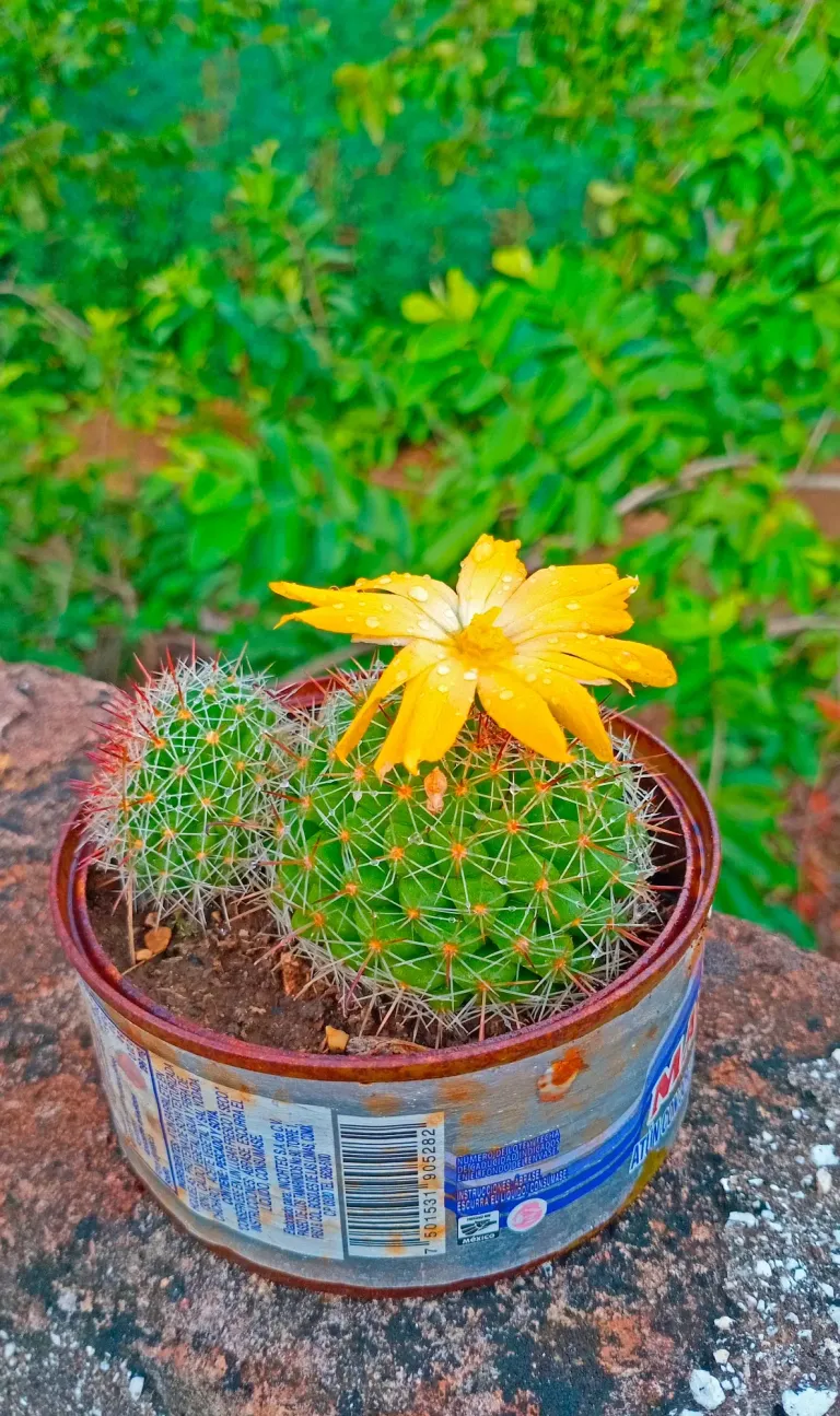 IA03S9MnfN2rC2c8_1000839249.webp