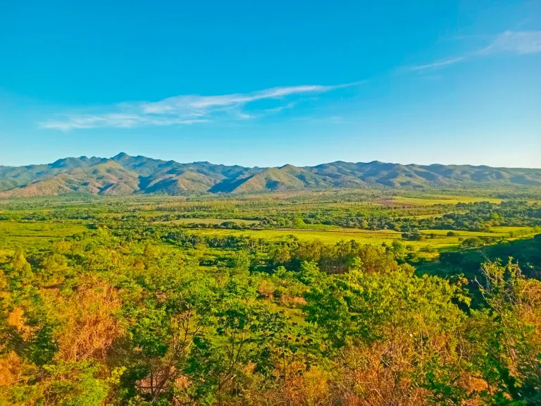Nr8CiLVfD0hlnK6D_1000857260.webp