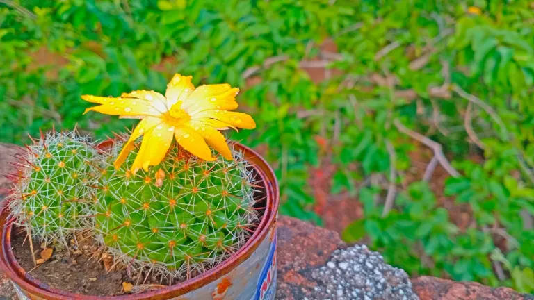 evpIcoQEFo5YHfoB_1000839247.webp