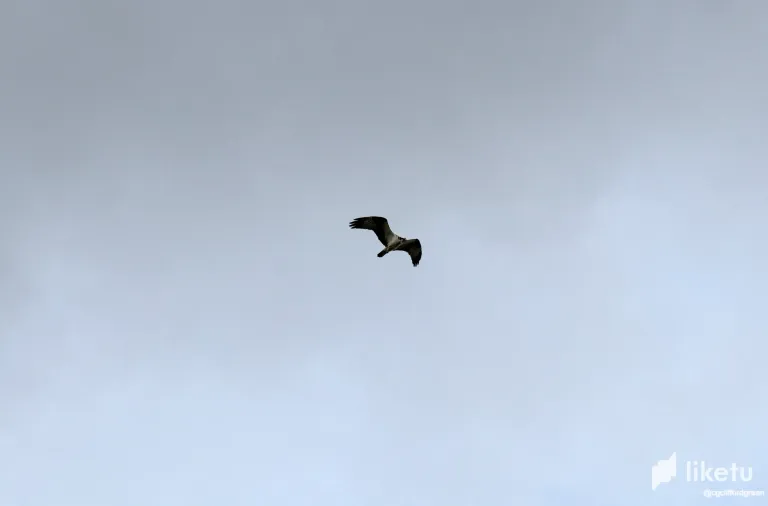 uo3otH3OJ0N7ypQU_IMG_3619.webp