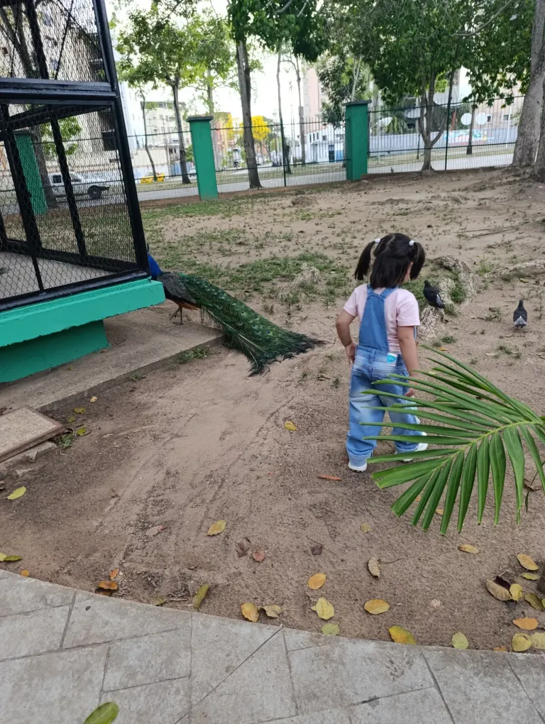 BR3MTPxgoMSmNnKT_1000095375.webp